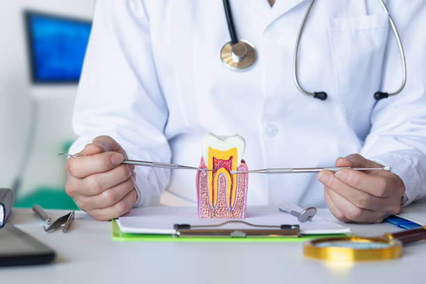 Best Emergency Dental Surgery in Redwood, TX